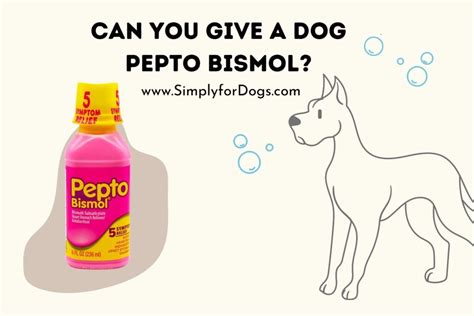 dog ate pepto bismol|can you give dog pepto.